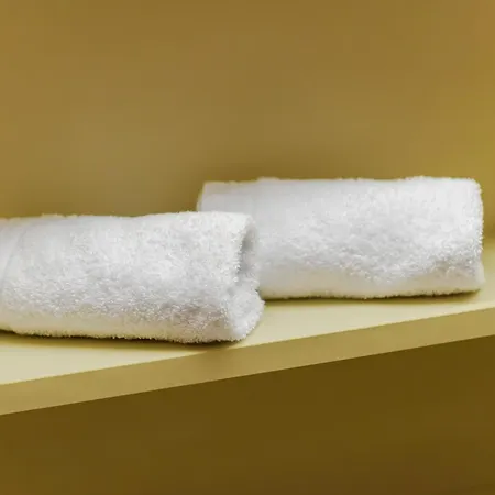 Hotel Suisse, Charming Alpine