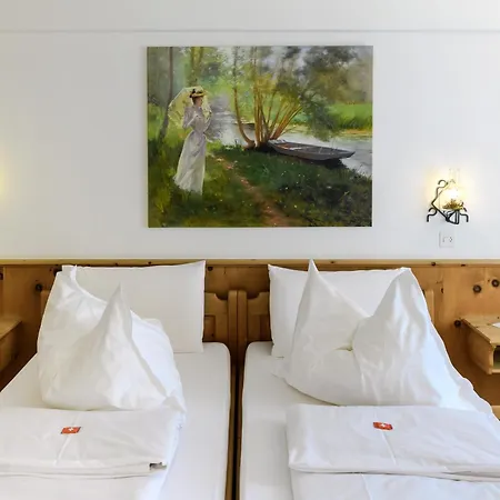 Suisse, Charming Alpine Hotell