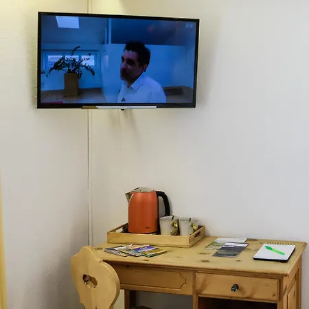 Suisse, Charming Alpine מלון 3*