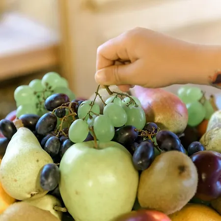 מלון Suisse, Charming Alpine פוסקיאבו