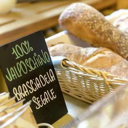 Suisse, Charming Alpine מלון 3*