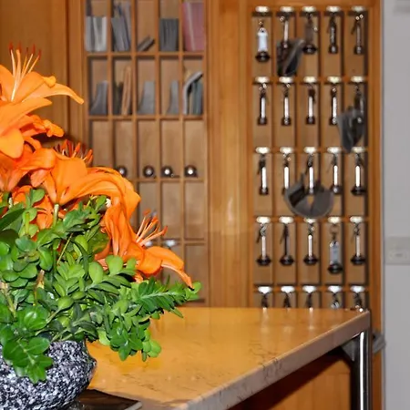 Hotel Suisse & Traditional Fondue Stube 3*