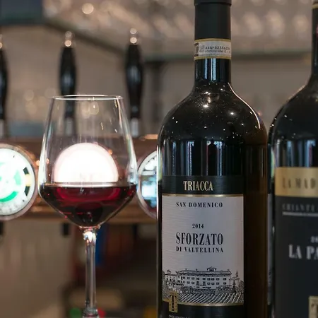 Hotel Suisse, Charming Alpine