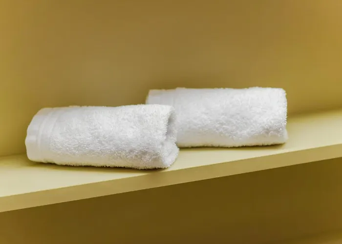 酒店 Suisse, Charming Alpine