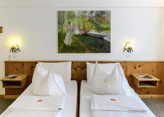 Suisse, Charming Alpine Otel