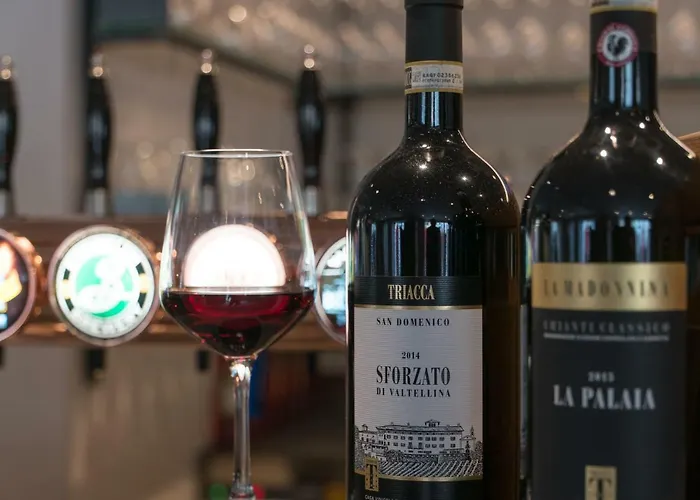 Otel Suisse, Charming Alpine