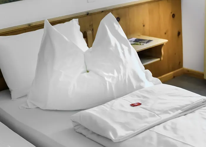 Suisse, Charming Alpine Hotel